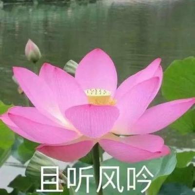 数字+文商旅 京彩乐市新春乐购会打造特色数字人民币消费场景